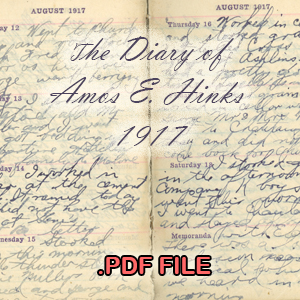 link to The Diary of Amos Elbert Hinks