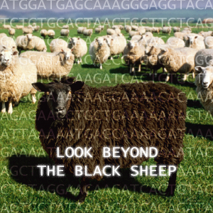 link to a story about black sheep